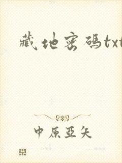 藏地密码txt封面