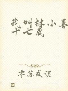 我叫林小喜今年十七岁