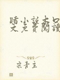 赌小说木口银全文免费阅读笔趣阁