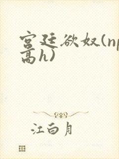 宫廷欲奴(np高h)