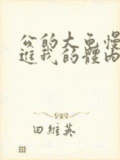 公的大龟慢慢挺进我的体内