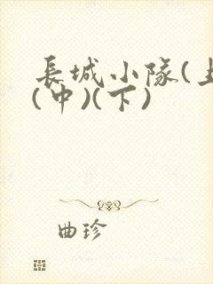 长城小队(上)(中)(下)封面