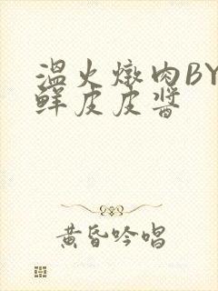 温火炖肉BY海鲜皮皮酱封面