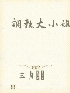 调教大小姐封面