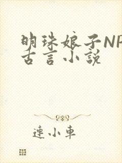 明珠娘子NPC古言小说
