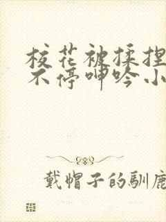 校花被揉捏两乳不停呻吟小说