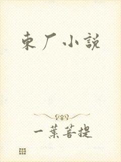 东厂小说