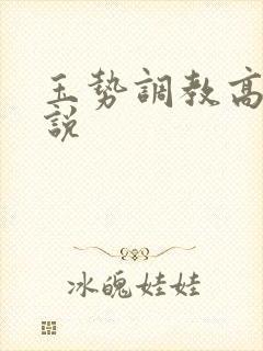 玉势调教高h小说