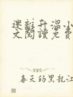 迷离升温小说全文阅读免费无弹窗