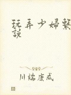 玩弄少妇系列小说