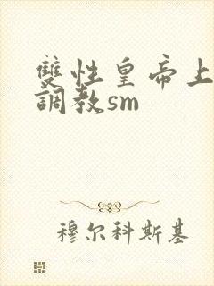 双性皇帝上朝被调教sm封面