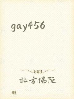 gay456封面