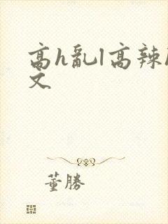 高h乱l高辣h文