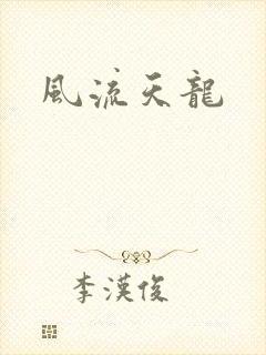 风流天龙封面