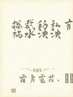 总裁的私有宝贝祸水泱泱