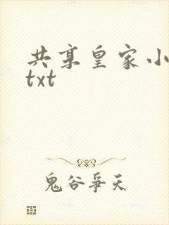 共享皇家小公主txt