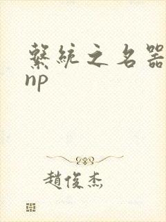 系统之名器攻略np