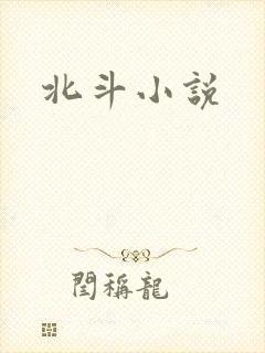 北斗小说封面