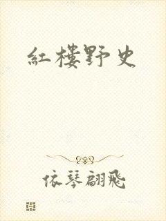 红楼野史