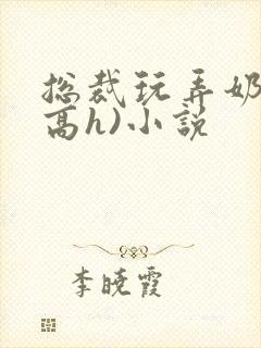 总裁玩弄奶头(高h)小说