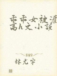 乖乖女被灌满精高h文小说