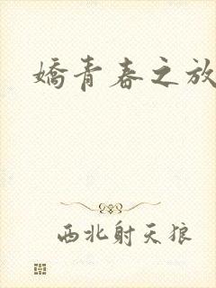 娇青春之放纵封面