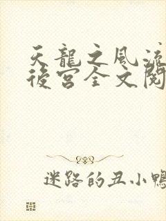 天龙之风流猎艳后宫全文阅读