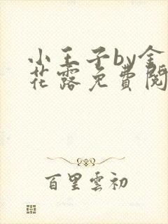 小王子by金银花露免费阅读笔趣阁