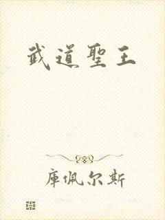 武道圣王