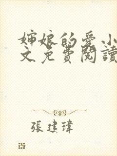 婶娘的爱小说全文免费阅读