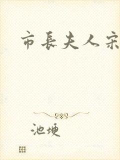 市长夫人宋姐封面
