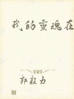 我的灵魂在古代封面