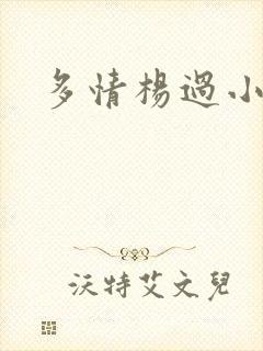 多情杨过小说封面