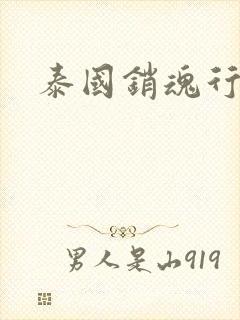 泰国销魂行封面