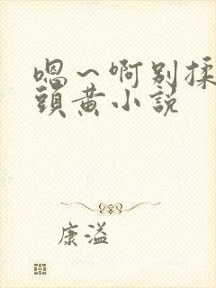 嗯～啊别揉我奶头黄小说封面