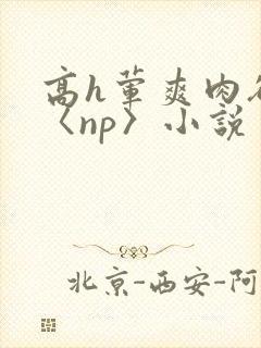 高h荤爽肉欲文〈np〉小说封面