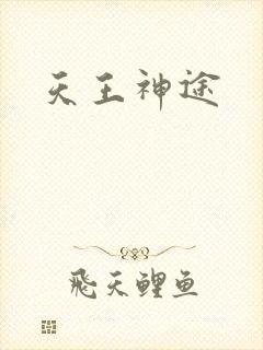 天王神途