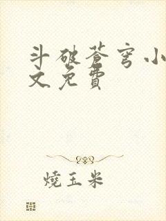 斗破苍穹小说全文免费封面