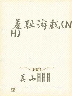 羞耻游戏(NPH)封面