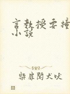 言教授要撞坏了小说