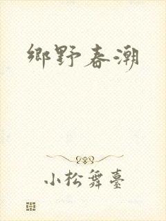 乡野春潮封面