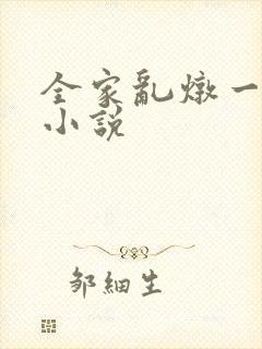 全家乱炖一锅烩小说