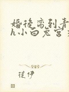 婚后脔到青梅哭h小白兔宫交h