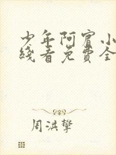 少年阿宾小说在线看免费全文无弹窗