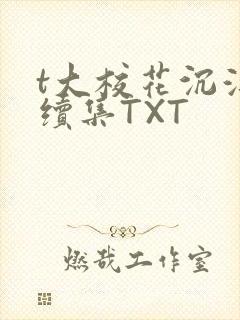 t大校花沉浮录续集TXT