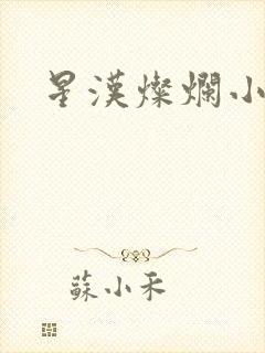 星汉灿烂小说