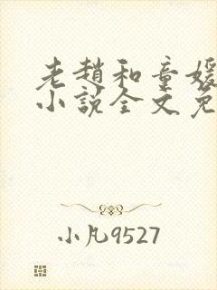 老赵和童媛媛的小说全文免费阅读封面