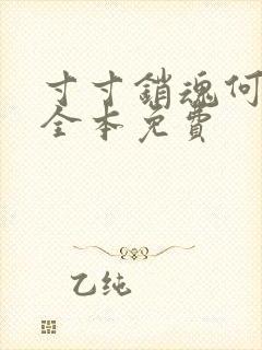 寸寸销魂何生祥全本免费封面