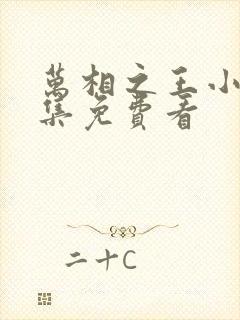 万相之王小说全集免费看