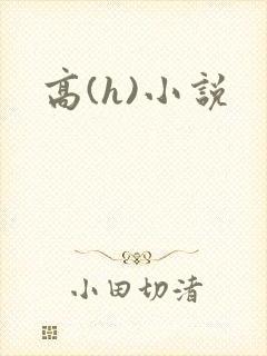 高(h)小说